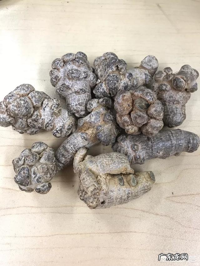 怎么挑选三七？