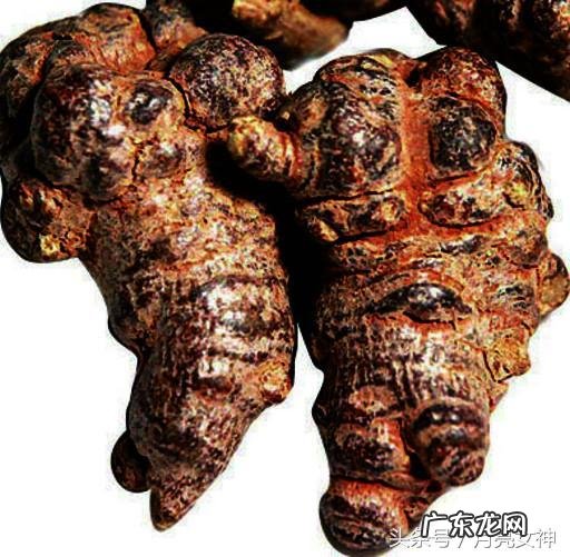 怎么挑选三七？