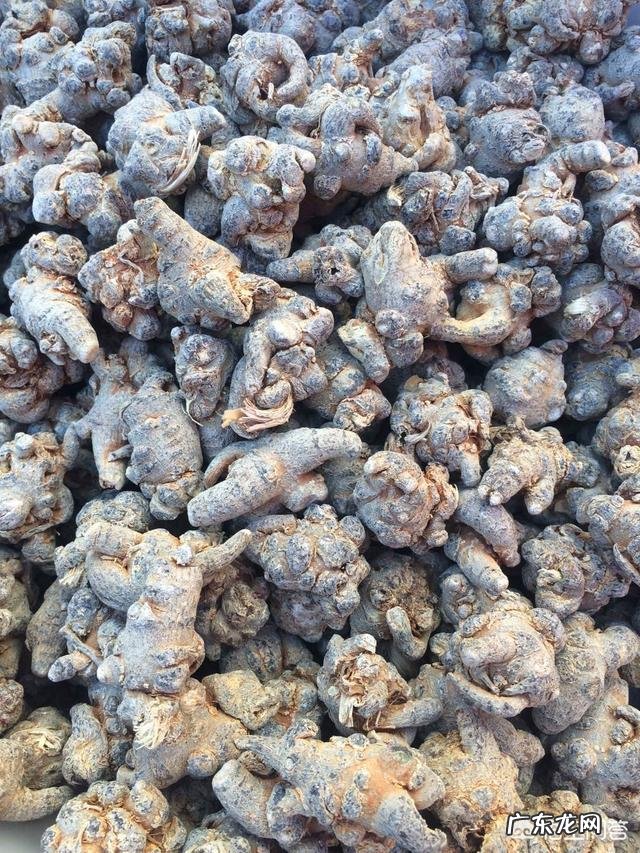 怎么挑选三七？