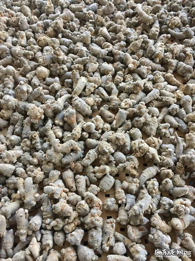 怎么挑选三七？