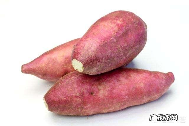 吃红薯可以减肥吗？