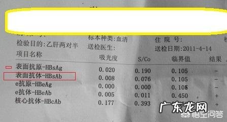 + 乙型肝炎表面抗体测定为阳性是什么意思?