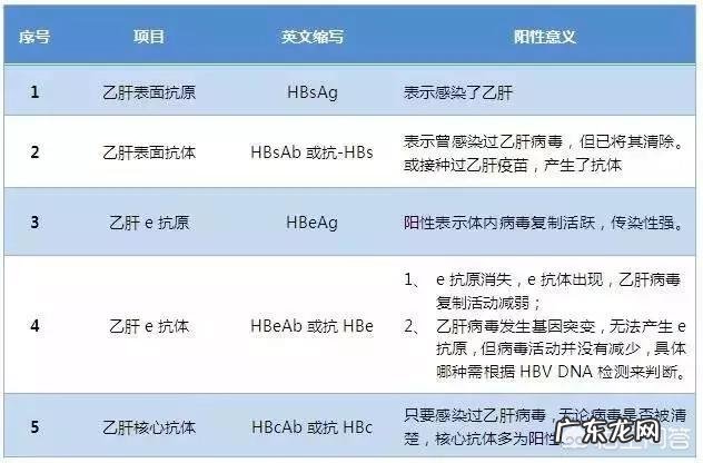 + 乙型肝炎表面抗体测定为阳性是什么意思?