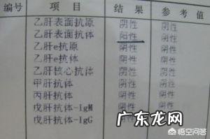 + 乙型肝炎表面抗体测定为阳性是什么意思？