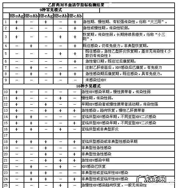 + 乙型肝炎表面抗体测定为阳性是什么意思?