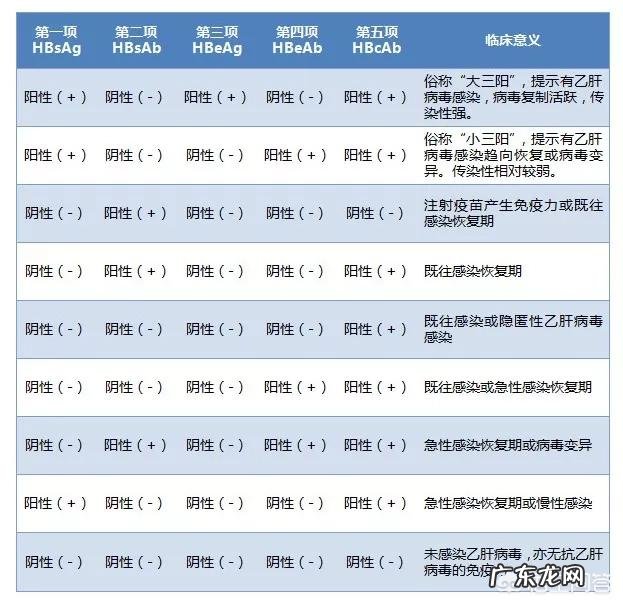 + 乙型肝炎表面抗体测定为阳性是什么意思?