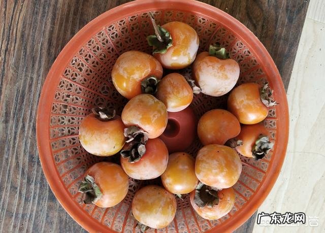 请问柿子树叶变黄是什么病害啊？