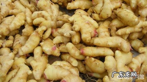 生姜真的可以治疗脱发吗?