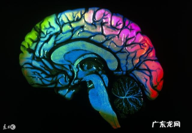 脑梗为什么容易复发，到底能不能治愈？