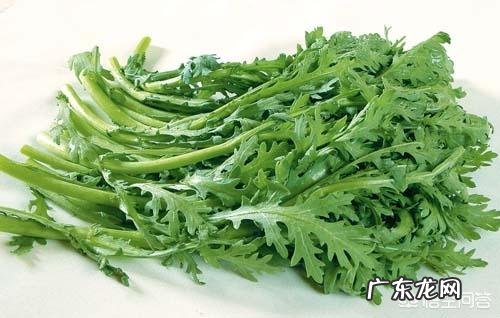茼蒿现在种植还来得及吗?怎么种?
