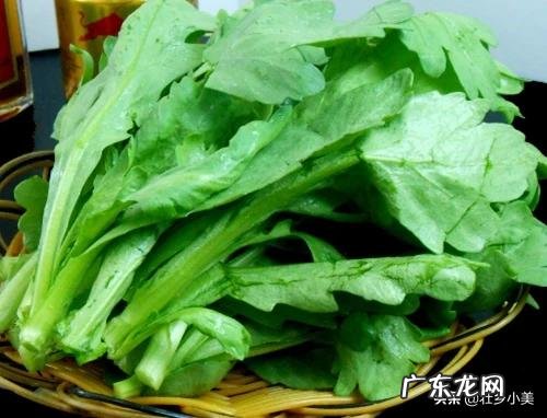 茼蒿现在种植还来得及吗?怎么种?