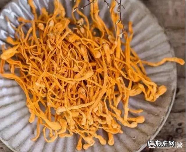 虫草花怎么做起来好吃?