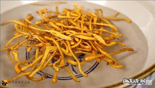 虫草花怎么做起来好吃?