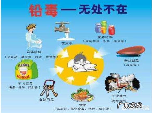 怎样预防铅中毒？哪些食物有排铅作用？