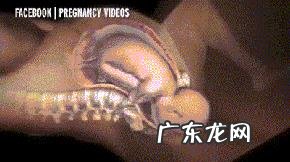 胎儿入盆有什么表现?