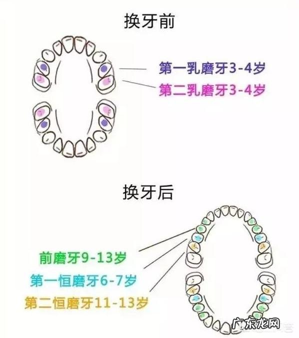 孩子的牙齿为什么要做窝沟封闭?什么是窝沟封闭?