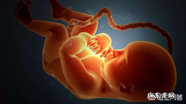 第一胎怀孕一般什么时候会有胎动?有哪些注意事项?