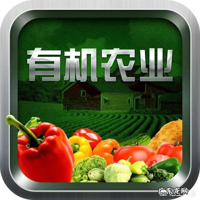 有机配方奶粉好吗?