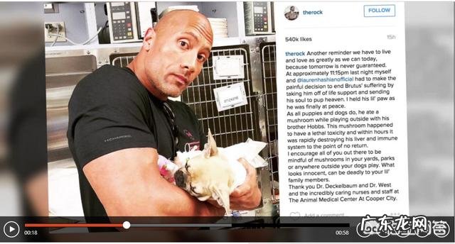 动物会误食毒蘑菇吗？