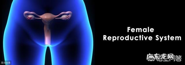 为什么女人可以怀孕?