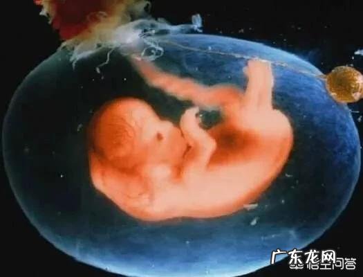 羊水到底多少才算正常?