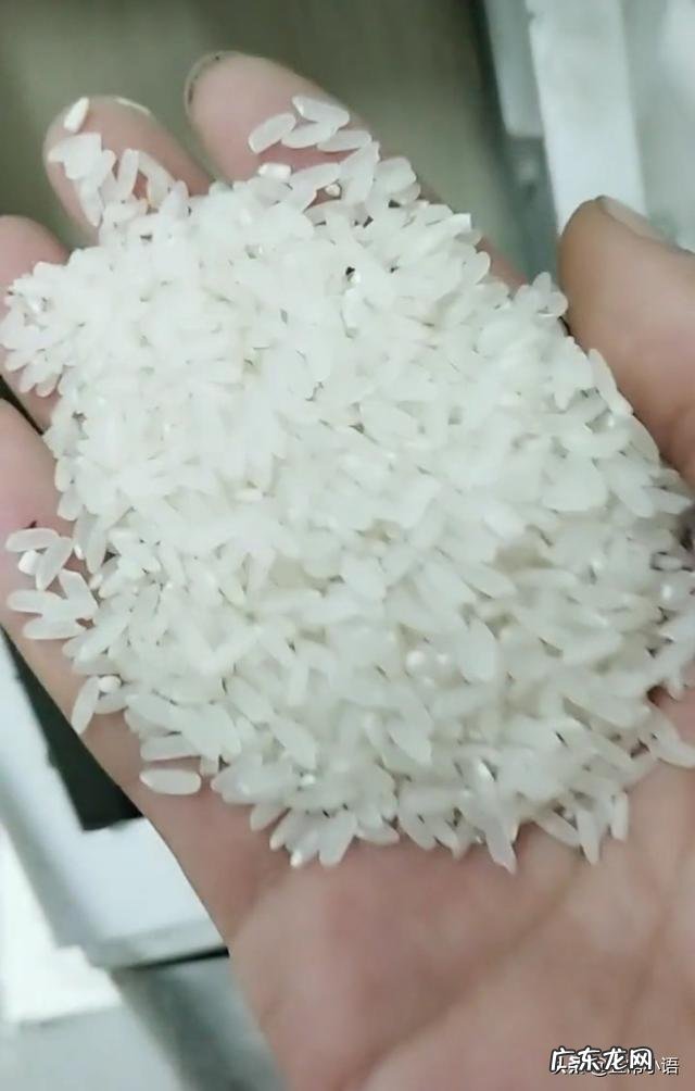 为什么东北可以产大米?