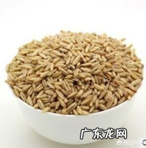 燕麦具有哪些功效?