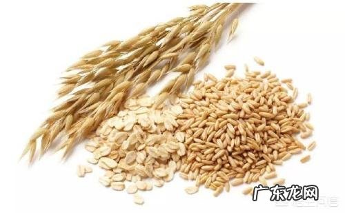 燕麦具有哪些功效?