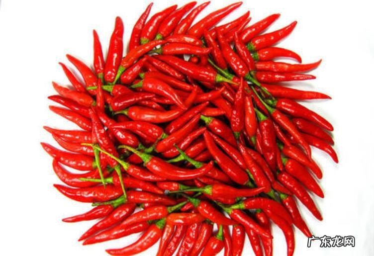 湿红辣椒的收藏方法
