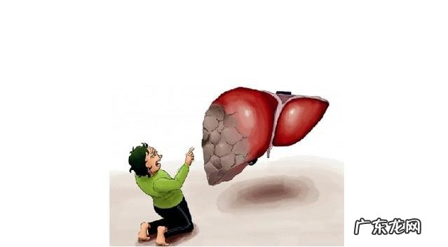 脂肪肝的诱因有哪些,肥胖就容易脂肪肝吗?