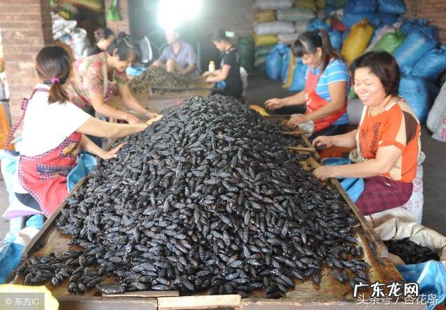 槟榔吃多了致癌吗？