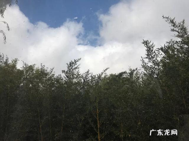 今年的雾霾天气是不是明显减少了？