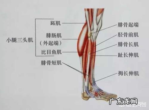 脚后跟痛怎么锻炼?