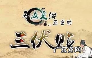 “三伏贴”治疗的理论依据是什么,操作时有哪些需要注意的地方?