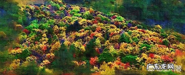 有哪些好的自学英语的方法?