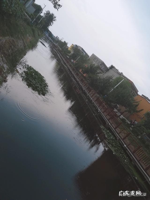 什么是生活?生活给你带来了什么?