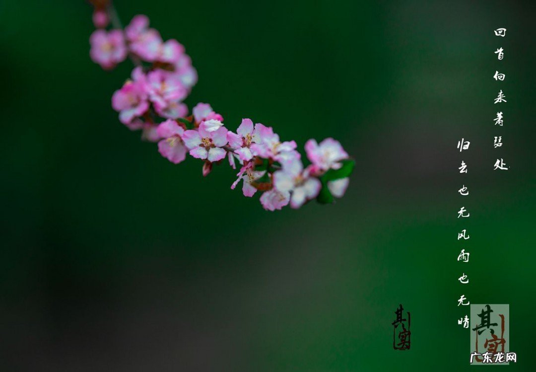 描写初春的早晨句子