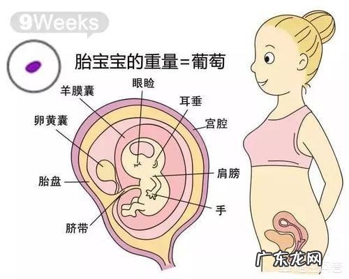 怀孕9周,有什么需要注意的事项?