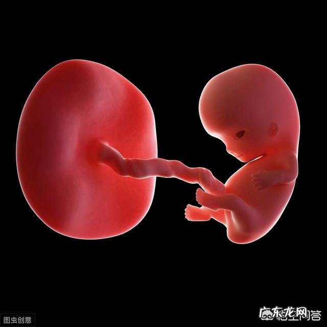 怀孕9周,有什么需要注意的事项?