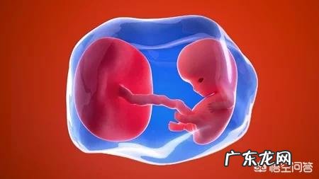 怀孕9周,有什么需要注意的事项?