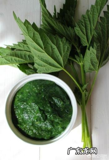 叶酸缺乏有什么影响?