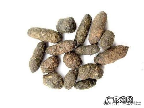 五灵脂是谁发现了它的药用价值？发现他的人经历了什么？