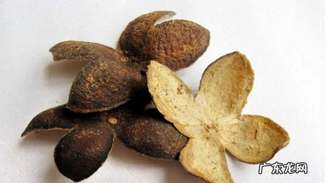 有哪些祛湿的食物和食疗方法呢?