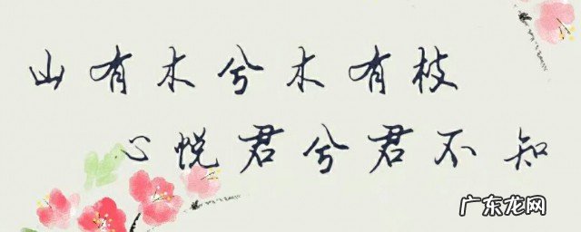 山有木兮木有枝下一句是什么