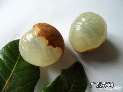 怀孕可以吃龙眼吗?