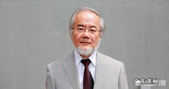 “初级断食”该怎么做呢?