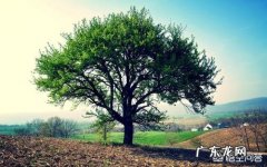 如何做行业分析和市场调研？