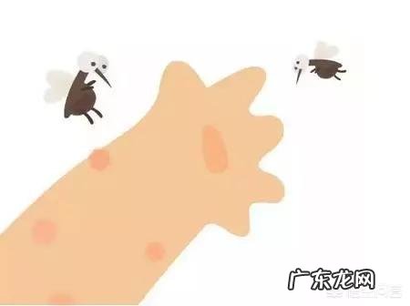 夏天到了,家里有孕妇和小孩,该怎样除蚊子?