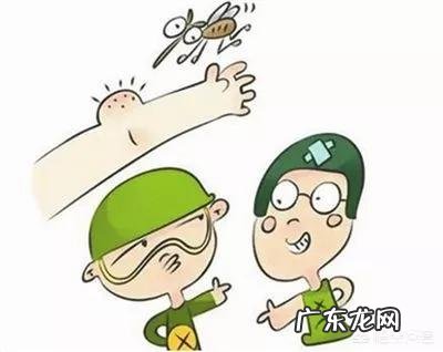夏天到了,家里有孕妇和小孩,该怎样除蚊子?