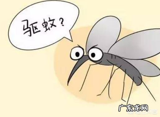 夏天到了,家里有孕妇和小孩,该怎样除蚊子?